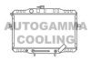 AUTOGAMMA 104081 Radiator, engine cooling